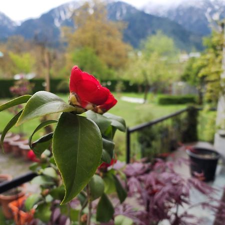 Premier Pahalgam Hotel Екстериор снимка