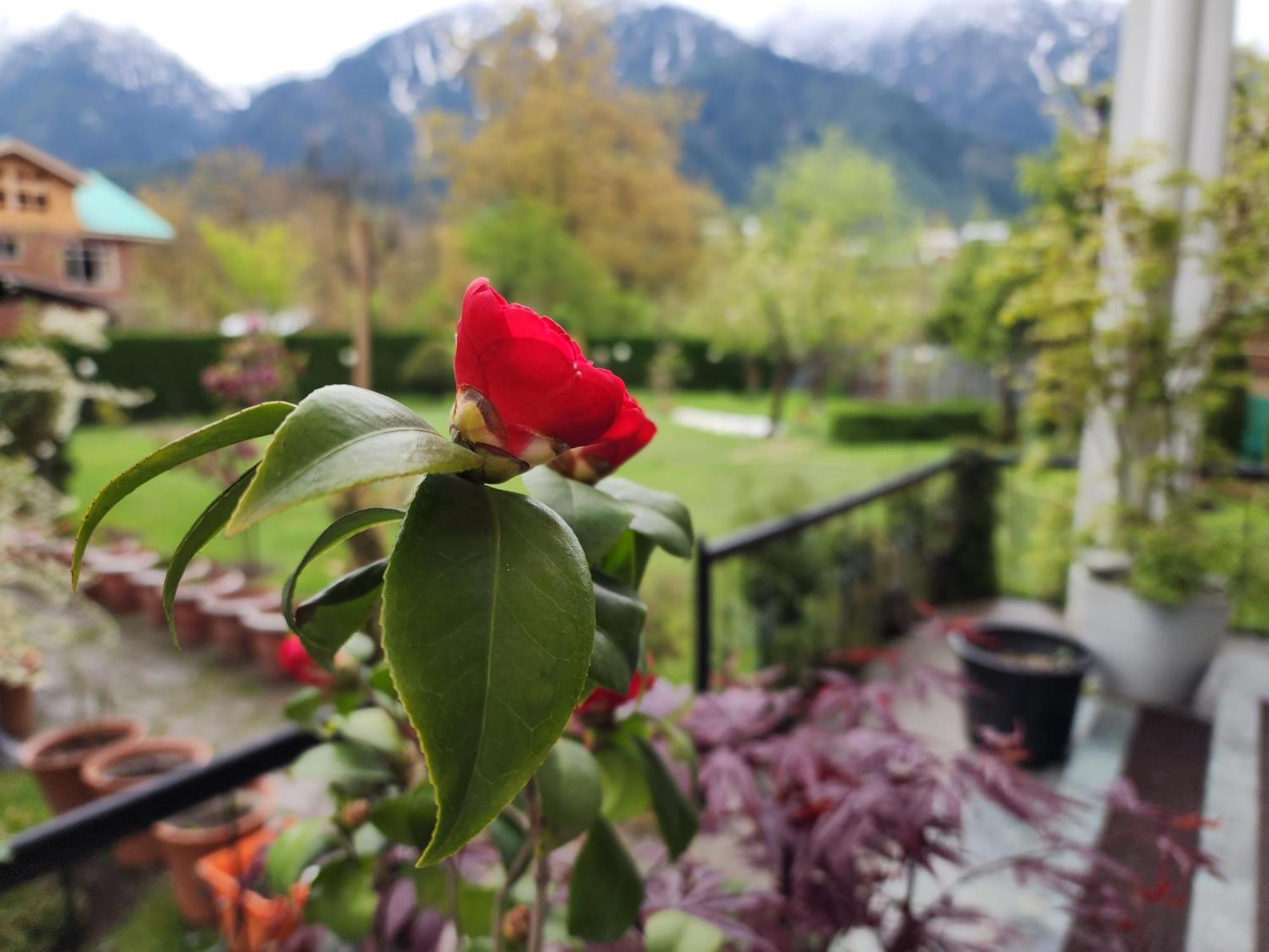 Premier Pahalgam Hotel Екстериор снимка